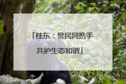 桂东：警民同携手 共护生态和谐