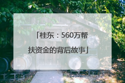 桂东：560万帮扶资金的背后故事