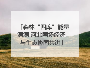 森林“四库”能量满满 河北围场经济与生态协同共进