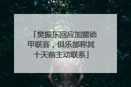 樊振东回应加盟德甲联赛，俱乐部称其十天前主动联系