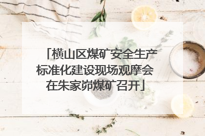 横山区煤矿安全生产标准化建设现场观摩会在朱家峁煤矿召开