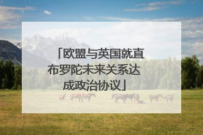 欧盟与英国就直布罗陀未来关系达成政治协议