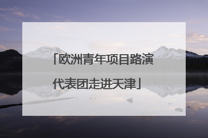 欧洲青年项目路演代表团走进天津
