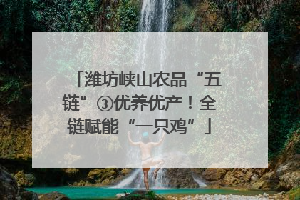 潍坊峡山农品“五链”③优养优产！全链赋能“一只鸡”