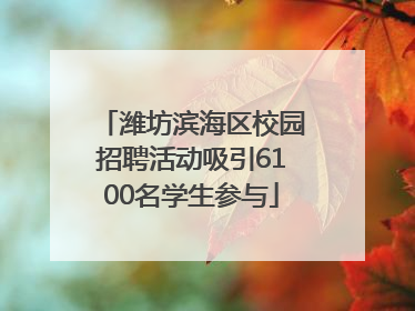 潍坊滨海区校园招聘活动吸引6100名学生参与