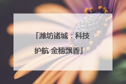 潍坊诸城：科技护航 金穗飘香