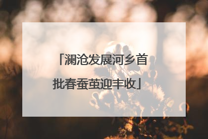 澜沧发展河乡首批春蚕茧迎丰收