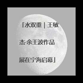 水双重｜王敏杰·余王波作品展在宁海启幕