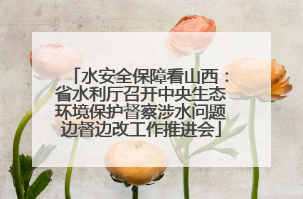 水安全保障看山西：省水利厅召开中央生态环境保护督察涉水问题边督边改工作推进会