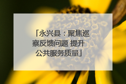 永兴县：聚焦巡察反馈问题 提升公共服务质量