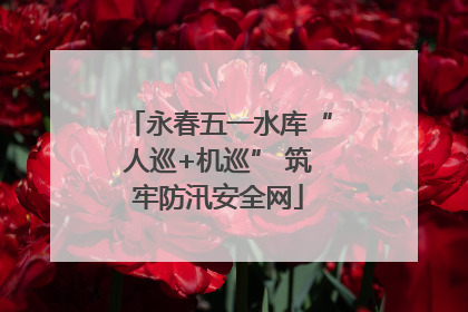永春五一水库“人巡+机巡” 筑牢防汛安全网