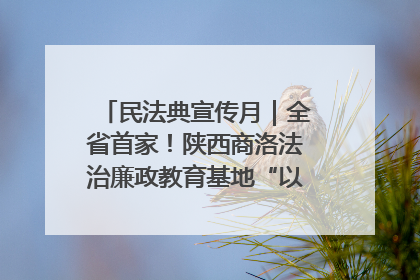 民法典宣传月｜全省首家！陕西商洛法治廉政教育基地“以案说纪”润人心