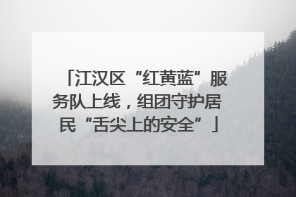 江汉区“红黄蓝”服务队上线，组团守护居民“舌尖上的安全”