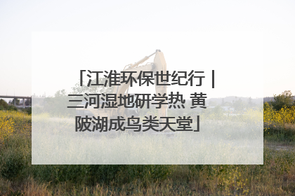 江淮环保世纪行｜三河湿地研学热 黄陂湖成鸟类天堂