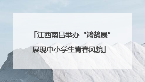 江西南昌举办“鸿鹄展” 展现中小学生青春风貌