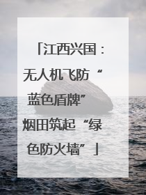 江西兴国：无人机飞防“蓝色盾牌” 烟田筑起“绿色防火墙”