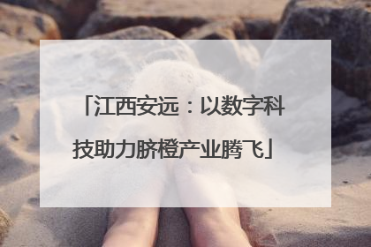 江西安远：以数字科技助力脐橙产业腾飞