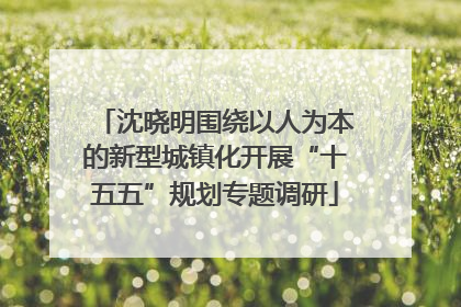 沈晓明围绕以人为本的新型城镇化开展“十五五”规划专题调研