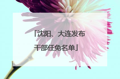 沈阳、大连发布干部任免名单