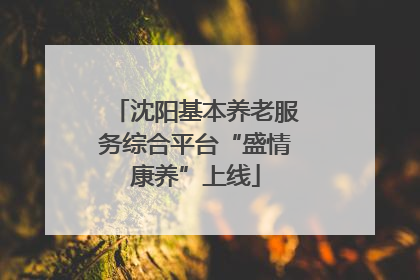沈阳基本养老服务综合平台“盛情康养”上线
