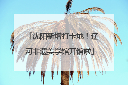 沈阳新增打卡地！辽河非遗美学馆开馆啦