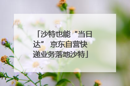 沙特也能“当日达” 京东自营快递业务落地沙特
