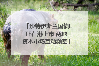 沙特伊斯兰国债ETF在港上市 两地资本市场互动频密
