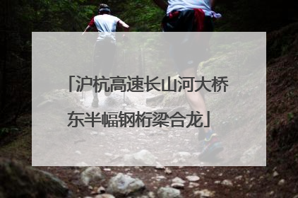 沪杭高速长山河大桥东半幅钢桁梁合龙