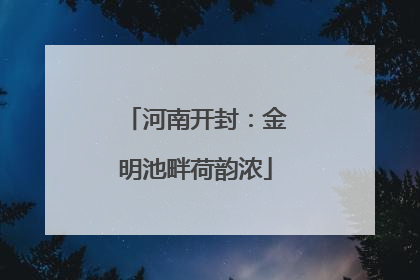 河南开封：金明池畔荷韵浓