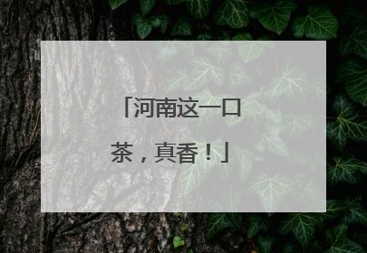 河南这一口茶，真香！