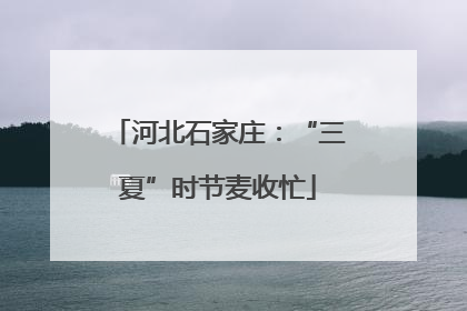 河北石家庄：“三夏”时节麦收忙