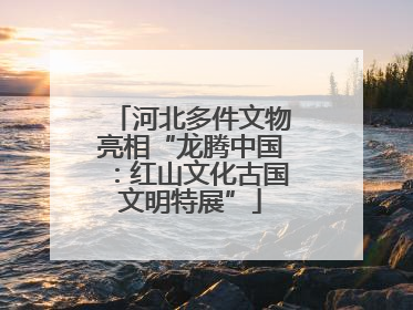 河北多件文物亮相“龙腾中国：红山文化古国文明特展”