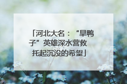 河北大名：“旱鸭子”英雄深水营救 托起沉没的希望