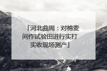 河北曲周：对棉麦间作试验田进行实打实收现场测产