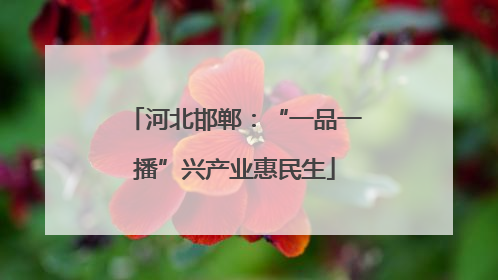 河北邯郸：“一品一播”兴产业惠民生