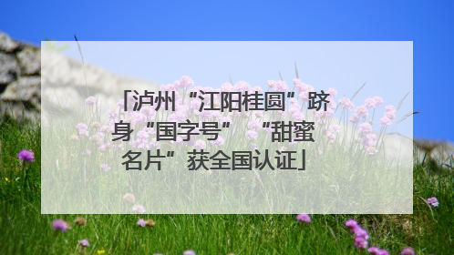 泸州“江阳桂圆”跻身“国字号” “甜蜜名片”获全国认证