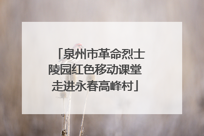 泉州市革命烈士陵园红色移动课堂走进永春高峰村