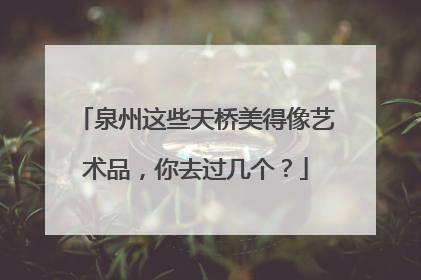 泉州这些天桥美得像艺术品，你去过几个？