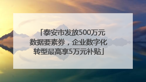 泰安市发放500万元数据要素券，企业数字化转型最高享5万元补贴