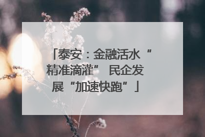 泰安：金融活水“精准滴灌” 民企发展“加速快跑”