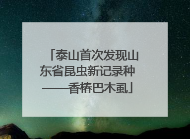 泰山首次发现山东省昆虫新记录种——香椿巴木虱