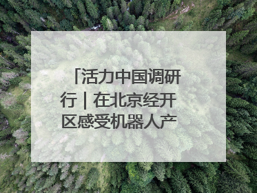 活力中国调研行｜在北京经开区感受机器人产业创新发展