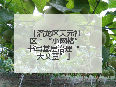 洛龙区天元社区：“小网格”书写基层治理“大文章”