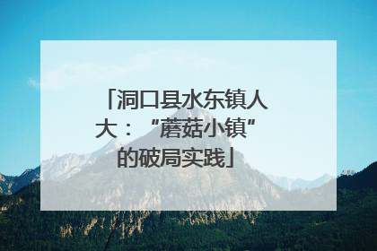 洞口县水东镇人大：“蘑菇小镇”的破局实践