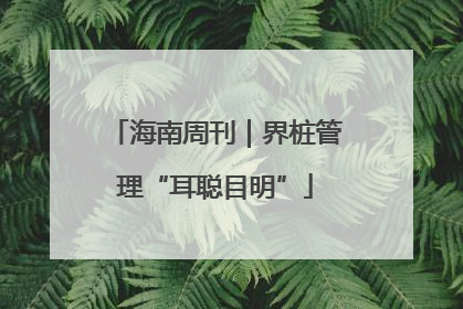 海南周刊｜界桩管理“耳聪目明”