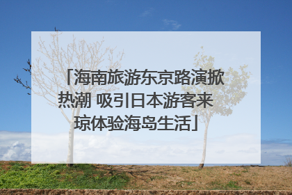 海南旅游东京路演掀热潮 吸引日本游客来琼体验海岛生活