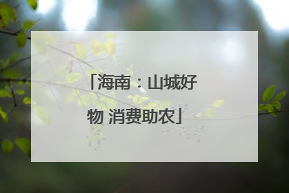 海南：山城好物 消费助农