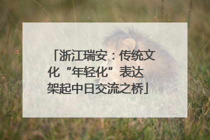 浙江瑞安：传统文化“年轻化”表达 架起中日交流之桥