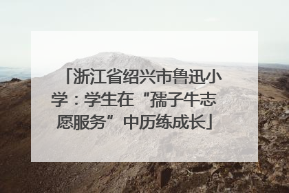 浙江省绍兴市鲁迅小学：学生在“孺子牛志愿服务”中历练成长