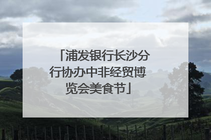 浦发银行长沙分行协办中非经贸博览会美食节